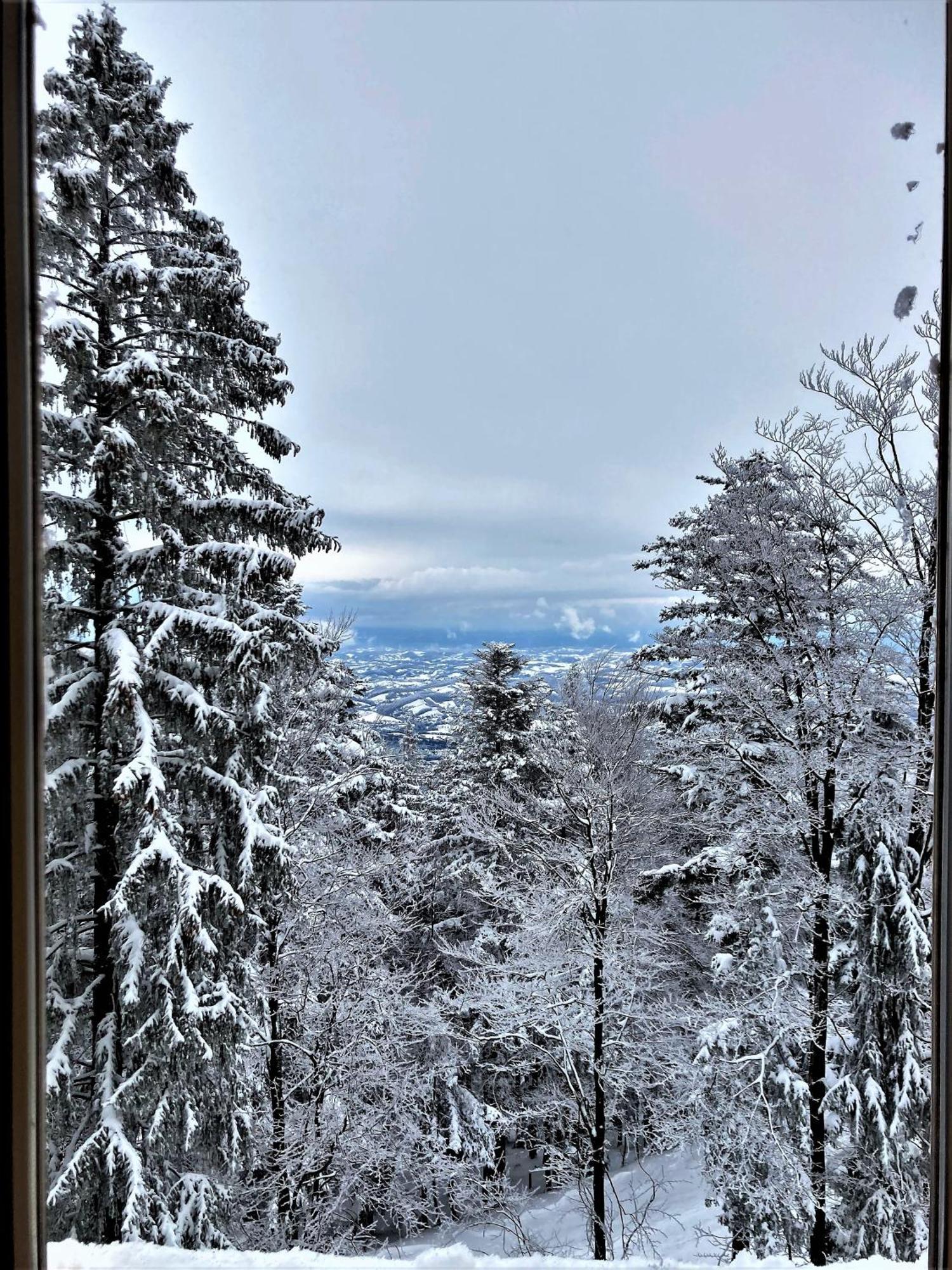 Luxury Wide View Pohorje Bellevue *