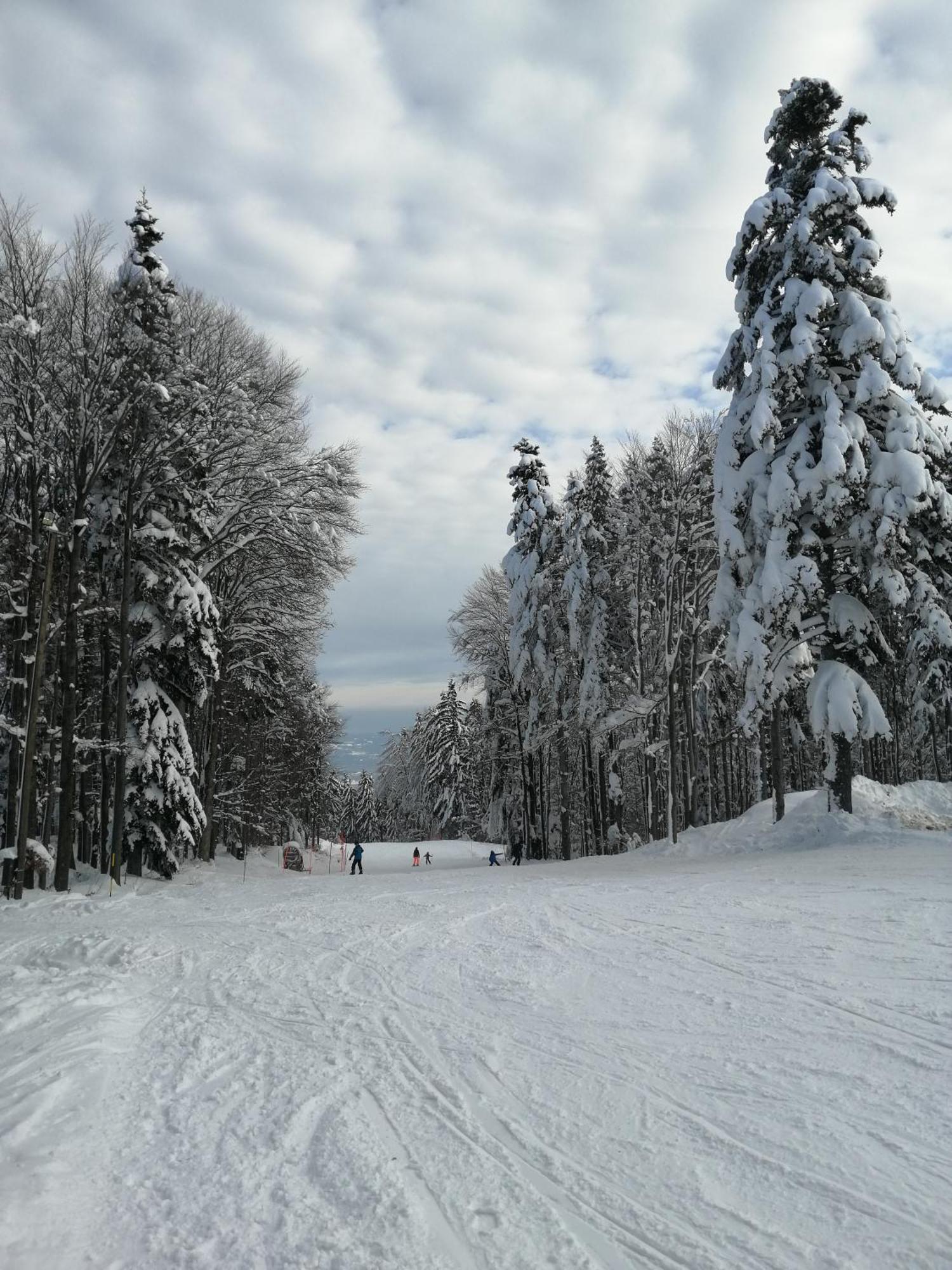 Luxury Wide View Pohorje Bellevue * Hocko Pohorje